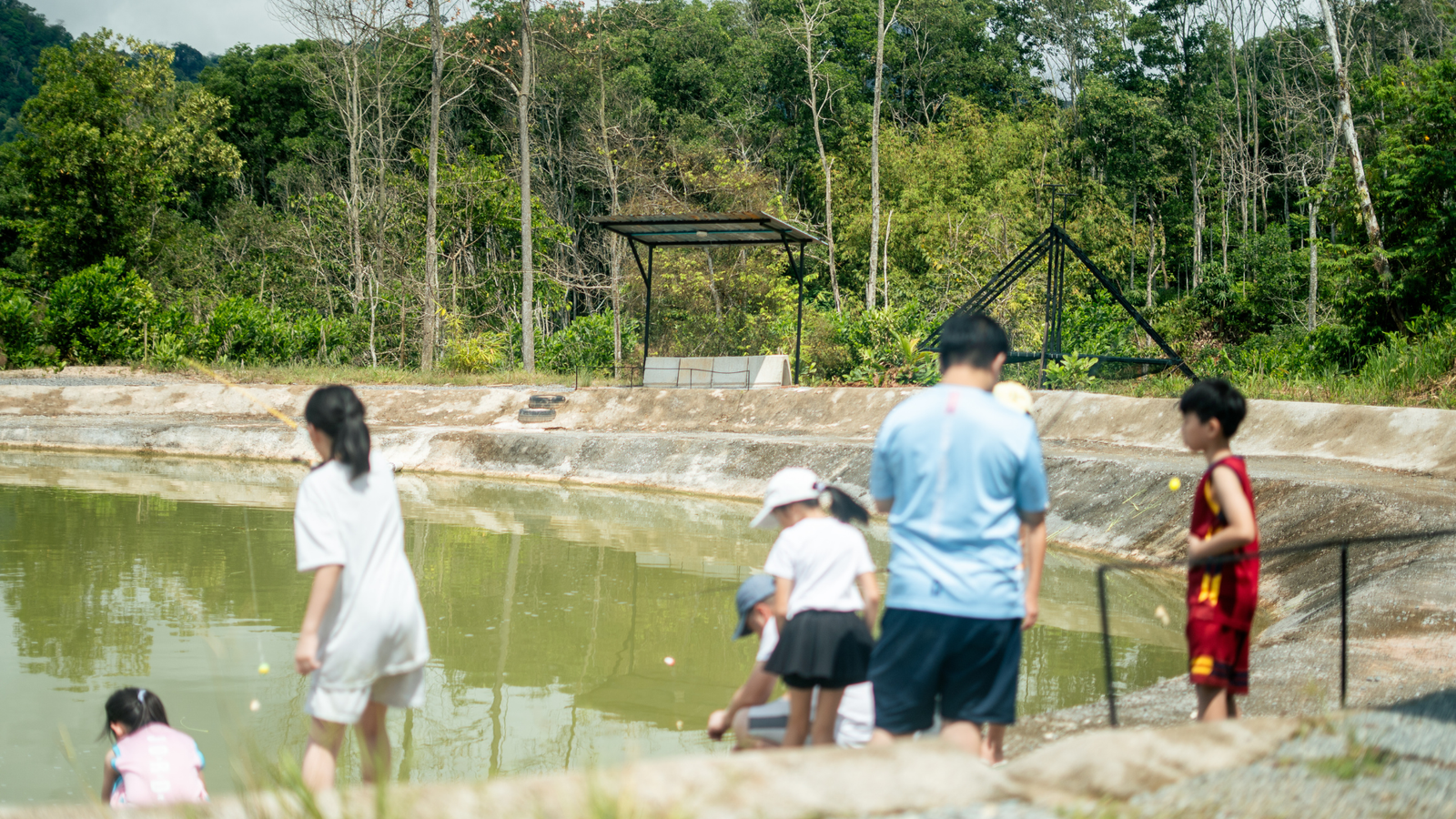 Fishing pond